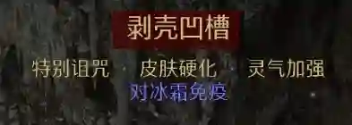 d4.webp